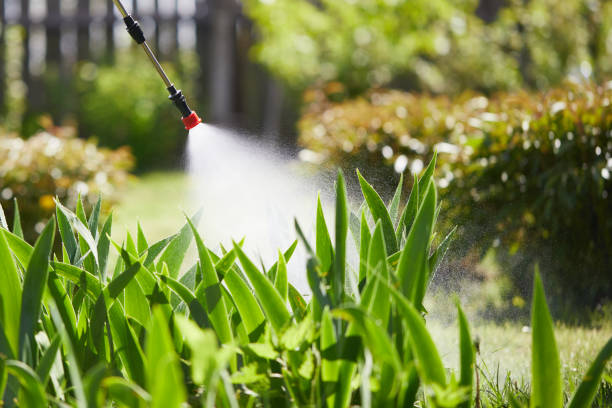 24/7 Emergency Cockroach Control experts in Stinnett, TX