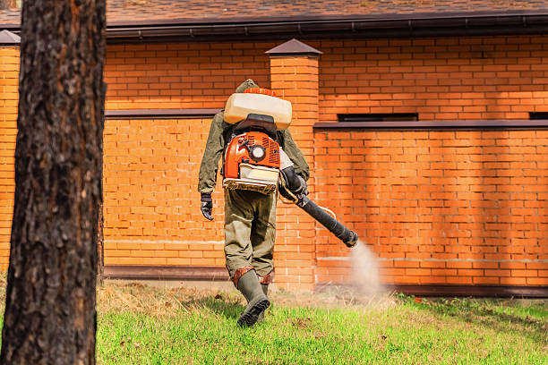 Trusted Termite Control service in Stinnett, TX - Nex Pest Control